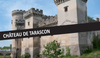 Visite guidée en anglais - Château de Tarascon