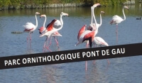 Visite guidée en anglais - Parc ornithologique