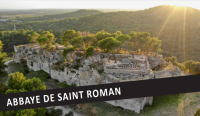 Visite guidée en anglais - Abbaye de Saint Roman